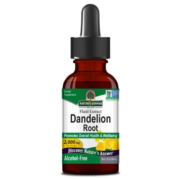 Dandelion Root 30ml Alcohol Free - Terveys Health Store